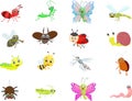 Insect cartoon collection Royalty Free Stock Photo