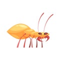 Insect Cartoon Illustration