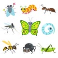 Insect Cartoon Images Collection