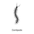 Insect centipede vector icon.Black vector icon isolated on white background insect centipede.