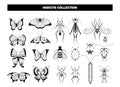 Insect collection. Butterfly beetle dragonfly, black insects silhouettes. Spring summer flying animals, garden pests