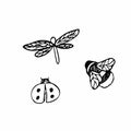 Insect collection. Dragonfly. Ladybug. Bumblebee. Vector. Drawn by hand. Silhouette. Black and white outline