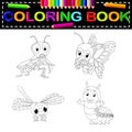 Insect coloring book