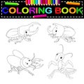 Insect coloring book