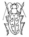 Insect, coloring book page with bug, for kids. Vector illustration. Doodle style