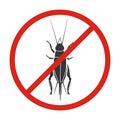 Insect cricket vector icon.Black vector icon isolated on white background insect cricket .