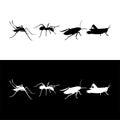 Insect design icon silhouette vector Royalty Free Stock Photo