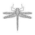 Insect-dragonfly, coloring book for children and adults. Doodle vector illustration Royalty Free Stock Photo