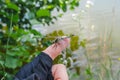 Insect dragonfly sits on a man finger near water in nature Royalty Free Stock Photo