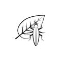 Insect, entomology, leaf icon. Element of biology icon for mobile concept and web apps. Hand drawn Insect, entomology, leaf icon Royalty Free Stock Photo