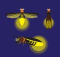 Insect Firefly Cute Cartoon Vector Illustration