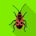 Insect firefly vector icon.Flat vector icon isolated on white background insect firefly .