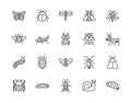 Insect flat line icons set. Butterfly, bug, dung beetle, grasshopper, cockroach, scarab, bee, caterpillar vector