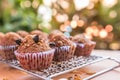 Insect food in banana cupcakes Royalty Free Stock Photo