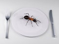 Insect food on a plate, the future food concepts