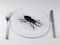 Insect food on a plate, the future food concepts