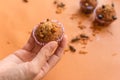 Insect foods in banana cupcakes Royalty Free Stock Photo