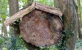 Insect home in the garden at boutique hotel The Newt in Somerset, UK. Photographed on a fine autumn day. Royalty Free Stock Photo