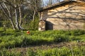 Insect hotel against a wooden house, in a beautiful vegetable garden, in early spring Royalty Free Stock Photo