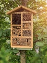Insect hotel for bugs in leafy tree Royalty Free Stock Photo