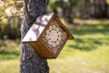 Insect hotel or house on tree in orchard Royalty Free Stock Photo