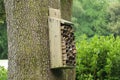 A insect hotel made from old wood and cut bamboo hanging from a tree in the woods. Many varieties of insects are attracted to it Royalty Free Stock Photo