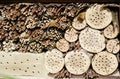 Insect hotel with wild bees and wesps Royalty Free Stock Photo