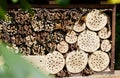 Insect hotel with wild bees and wesps Royalty Free Stock Photo