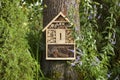 Insect house