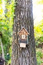 Insect house hanging from a poplar tree Royalty Free Stock Photo