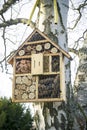 Insect House hanging on tree Royalty Free Stock Photo