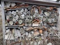 Insect house Royalty Free Stock Photo
