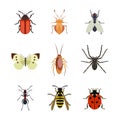 Insect icon flat isolated nature flying butterfly beetle ant and wildlife spider grasshopper or mosquito cockroach Royalty Free Stock Photo