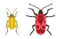 Insect icon flat isolated vector illustration. Royalty Free Stock Photo