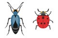 Insect icon flat isolated vector illustration. Royalty Free Stock Photo