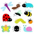 Insect icon set. Lady bug Caterpillar Butterfly Bee Beetle Spider Fly Snail Dragonfly Ant Lady bird. Cute bugs. Cartoon kawaii Royalty Free Stock Photo
