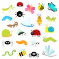 Insect icon set. Mantis Lady bug Mosquito Butterfly Bee Grasshopper Beetle Caterpillar Spider Cockroach Fly Snail Dragonfly Ant Royalty Free Stock Photo