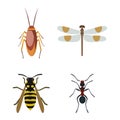 Insect icons flat set isolated on white background Royalty Free Stock Photo