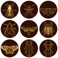 Insect icons set. Royalty Free Stock Photo