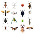 Insect icons set isolated on white. Vector illustration Royalty Free Stock Photo