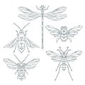 Insect icons, vector set. Abstract triangular style. bee, bumble bee , dragonfly, wasp.