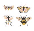 Insect icons, vector set. Abstract triangular style.