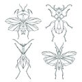 Insect icons, vector set. Abstract triangular style. mantis, grasshopper, ant, weevil beetle