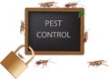 Insect infestation warning harmful to health-