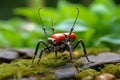 Insect-Inspired Innovation: Robot-Mosquito in the Wild. Generative by Ai