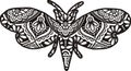 Insect Mandala Vector Line Art Style