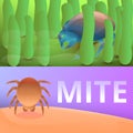 Insect mite banner set, cartoon style