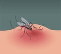 Insect mosquito bite. Malaria symbol. Red blood. Nature gnat character. Animal with sting. Fly bug. Illness transmission