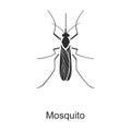 Insect mosquito vector icon.Black vector icon isolated on white background insect mosquito . Royalty Free Stock Photo