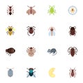 Insect pests collection, flat icons set